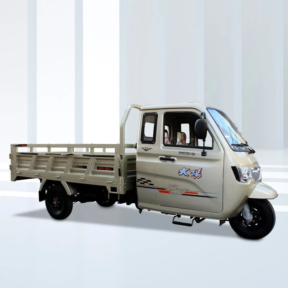 Tri Motorized Cargo Tricycle for Heavy Duty strong