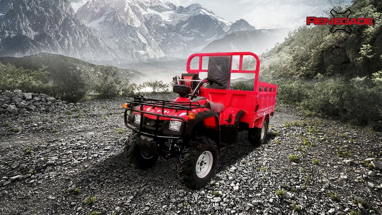4 wheels Iron-clad cab 300cc loading ATV