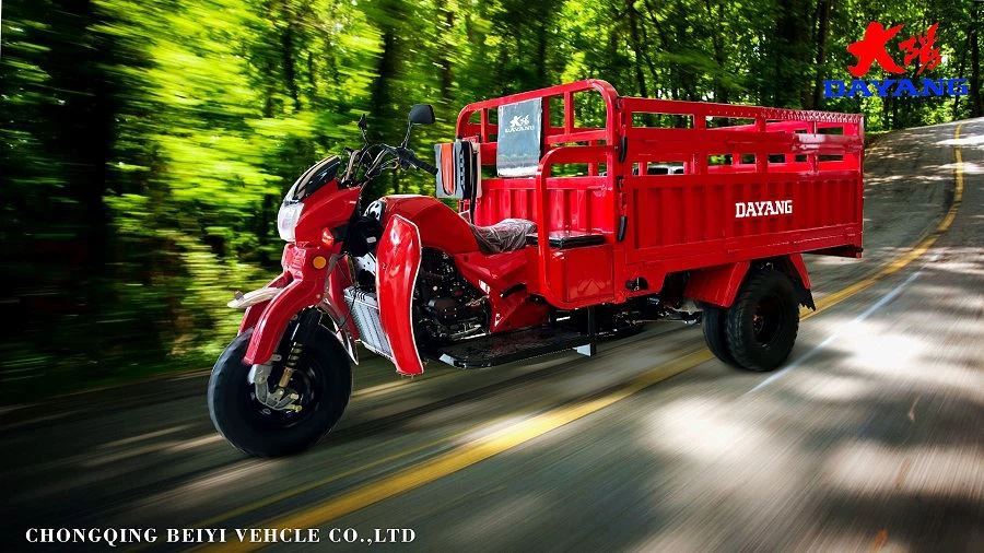 DAYANG 250cc motorized adult tricycles
