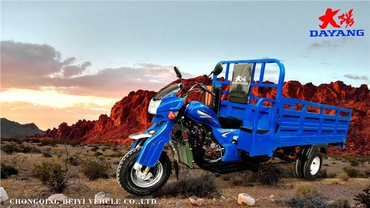250CC 3 Wheel Cargo Motorcycle for Adult  custom