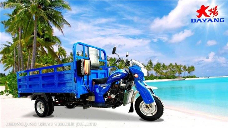 250CC 3 Wheel Cargo Motorcycle for Adult