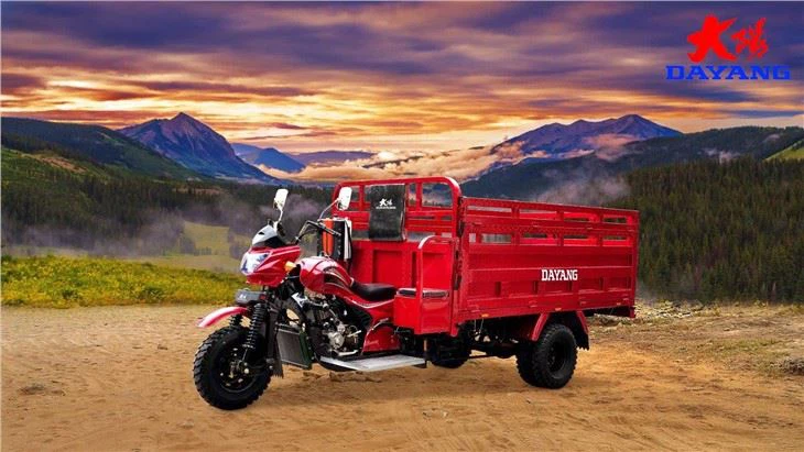 350cc big power cargo tricycles China