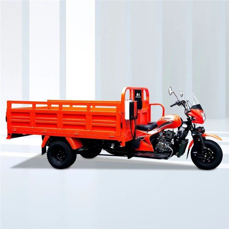 cargo tricycle gasoline engine for agticulture