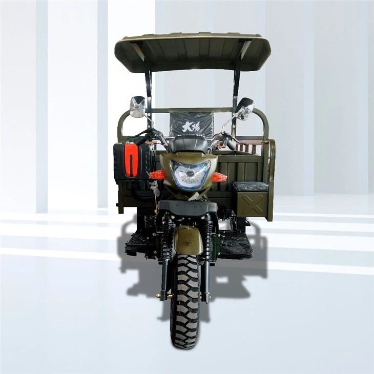 Triciclos motorizados Farm Strong Motor