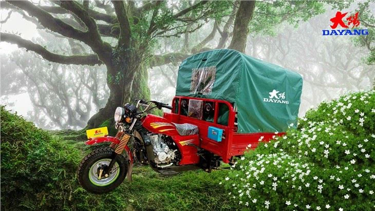 Gas Or Petrol Fuel 150cc tricycle China