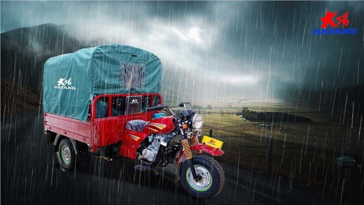 Gas Or Petrol Fuel 150cc tricycle 200cc