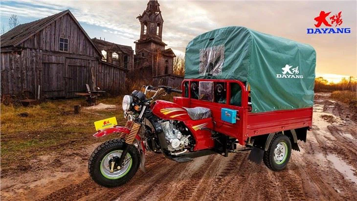 Gas Or Petrol Fuel 150cc tricycle Custom