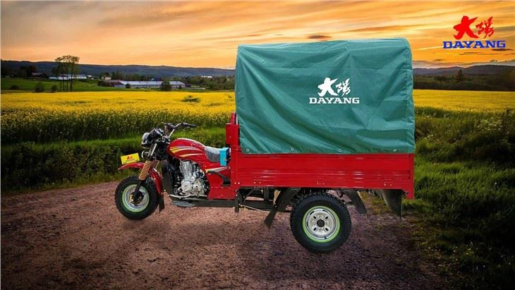 Gas Or Petrol Fuel 150cc tricycle red