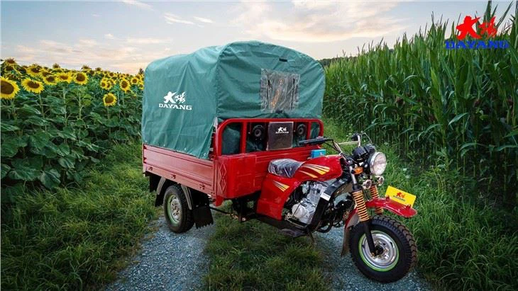 Gas Or Petrol Fuel 150cc tricycle van