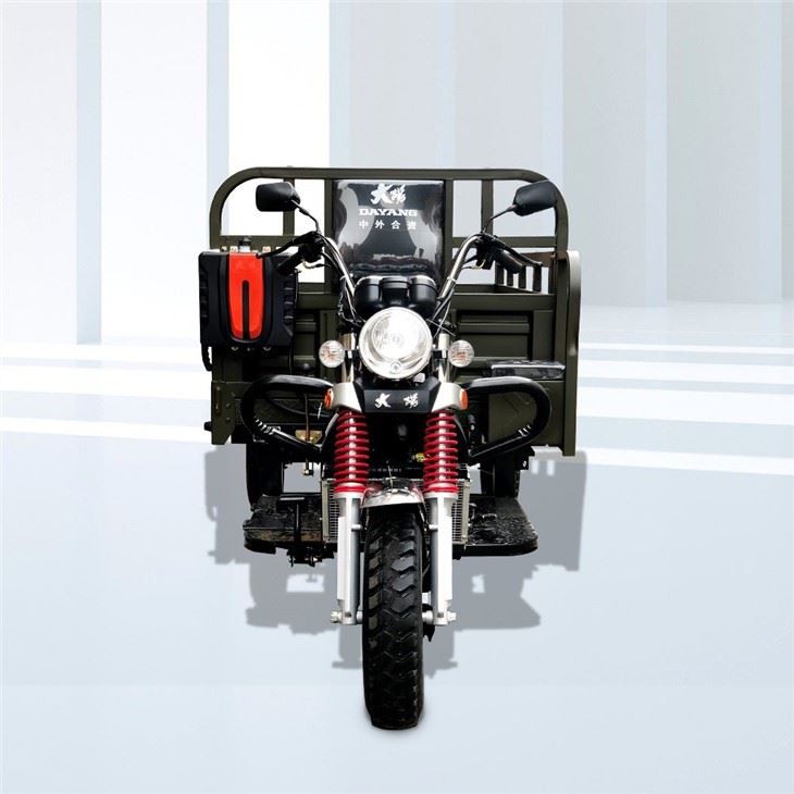 Chinese Gasoline 200CC Cargo Tricycle
