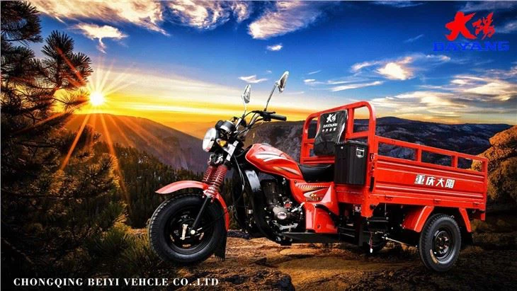 Gasoline Three Wheel Farming Tricycle
