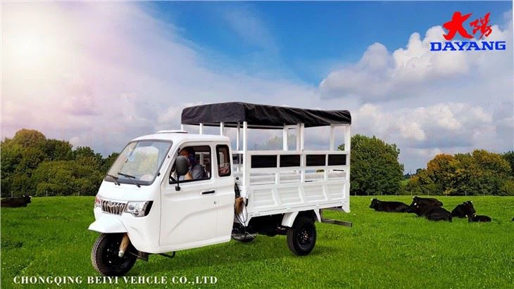 Heavy duty truck motor tricycle loading