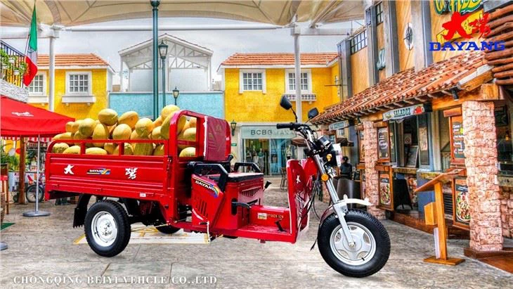 Open Body 3 Wheel Cargo Motor Tricycle China