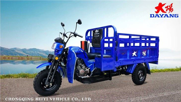 Petrol 250CC 200CC Cargo Tricycle Blue