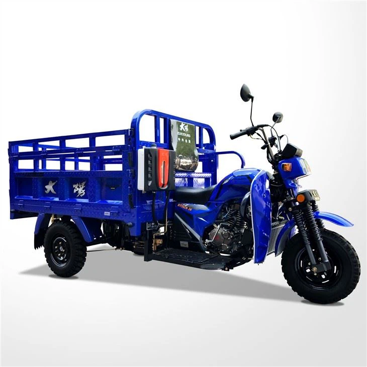 Petrol 250CC 200CC Cargo Tricycle on sale