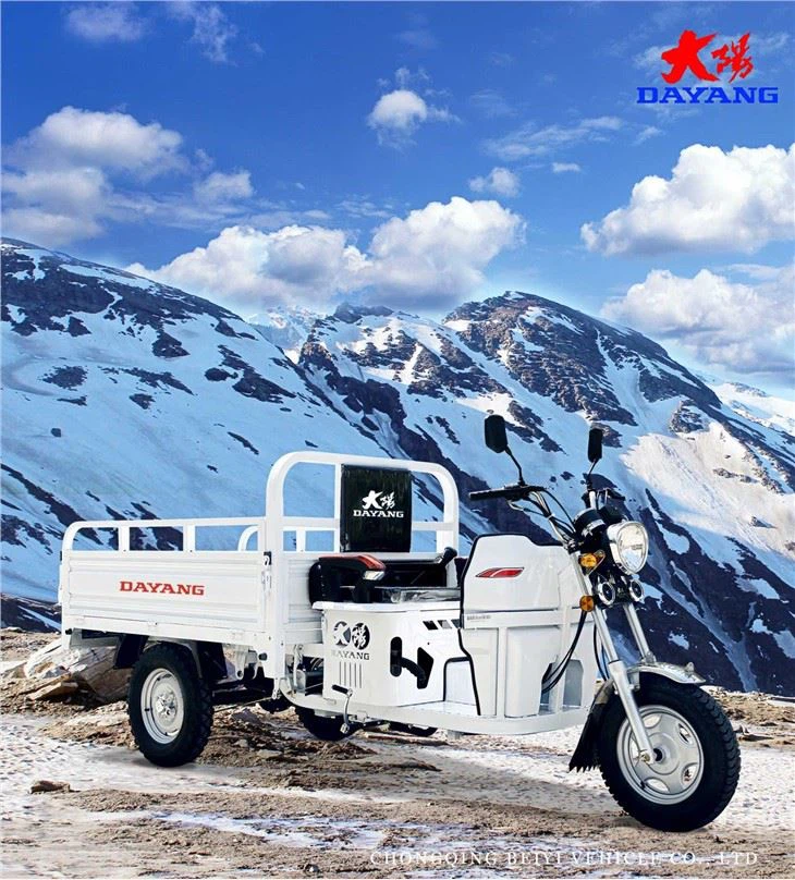 Safe 3 Wheel Motorcycle Mini Cargo Truck  on sale