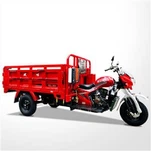 Entrega de carga Motocicleta de tres ruedas