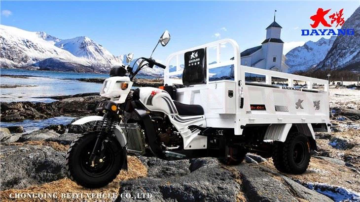 Strengthed Delivery Cargo motorized Tricycle
