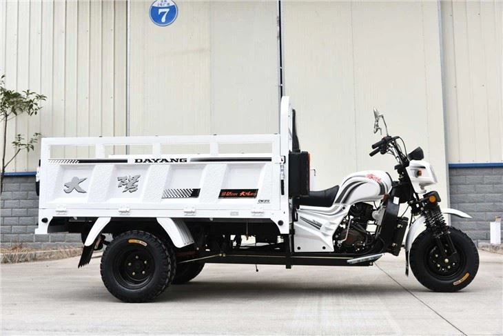 Strengthed Delivery Cargo Tricycle  factory