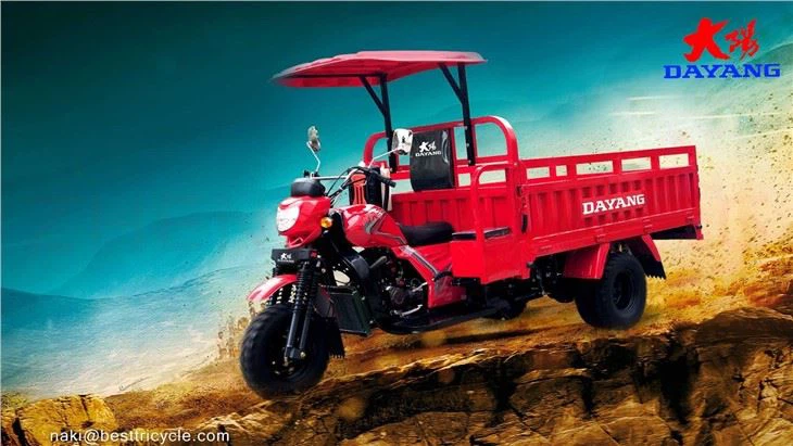 Three Wheel Cargo Motorbike China