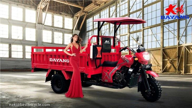 Three Wheel Cargo Motorbike factory