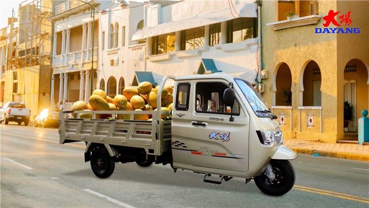 Tri Motorized Cargo Tricycle for Heavy Duty 250cc