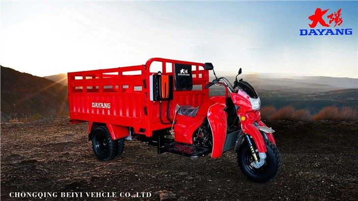 Tricycle Cargo Truck 3 Wheel Motorcycle direct sale
