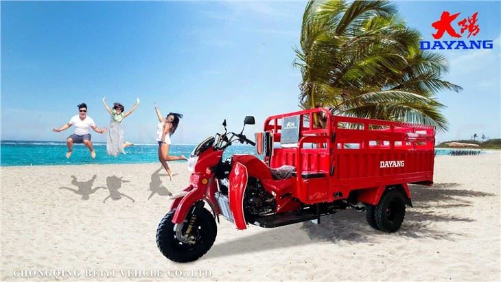Tricycle Cargo Truck 3 Wheel Motorcycle original