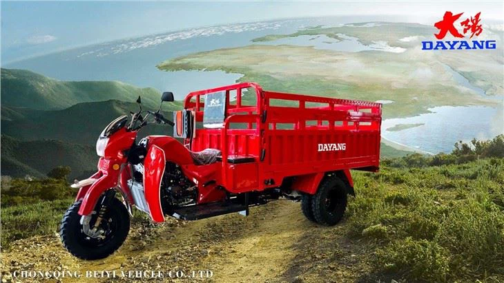 Tricycle Cargo Truck 3 Wheel Motorcycle good quality