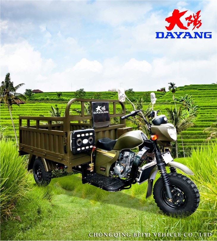 200CC 3 Wheeler Cargo Tricycle