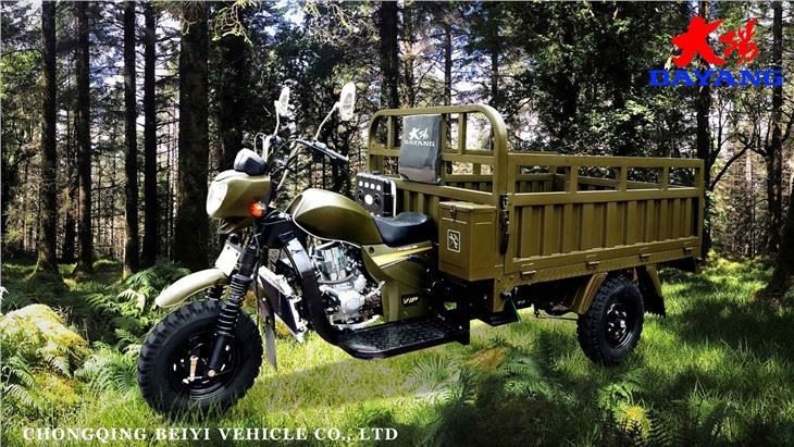 factory 200CC 3 Wheeler Cargo Tricycle