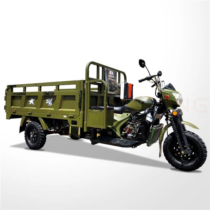 300cc Three Wheels Moto Carga