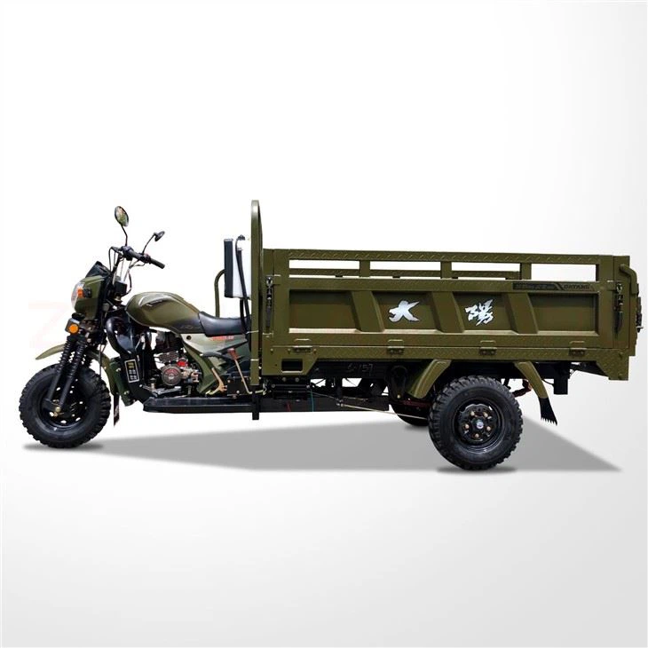 300cc Three Wheels Moto Carga