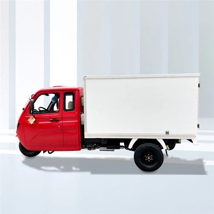 800cc Three Wheeler Cargo Motor