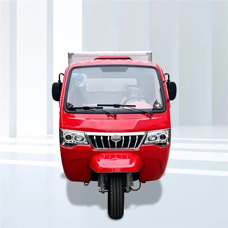 800cc Three Wheeler Cargo Motor