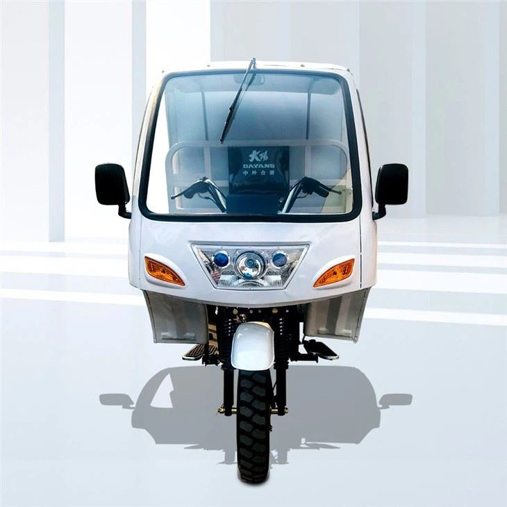 Box Three Wheeler Moto Cargo