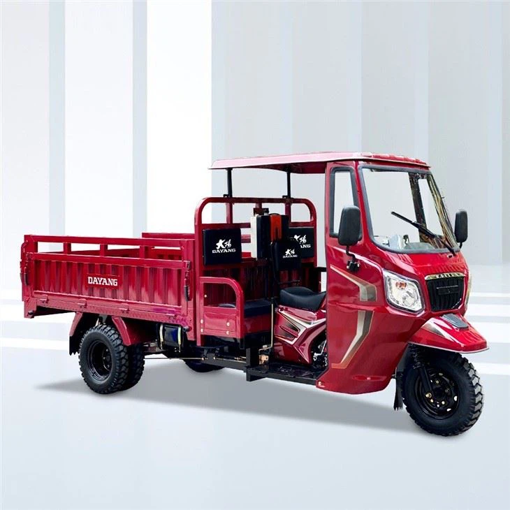 Tipper Carguero Motor Triciclo