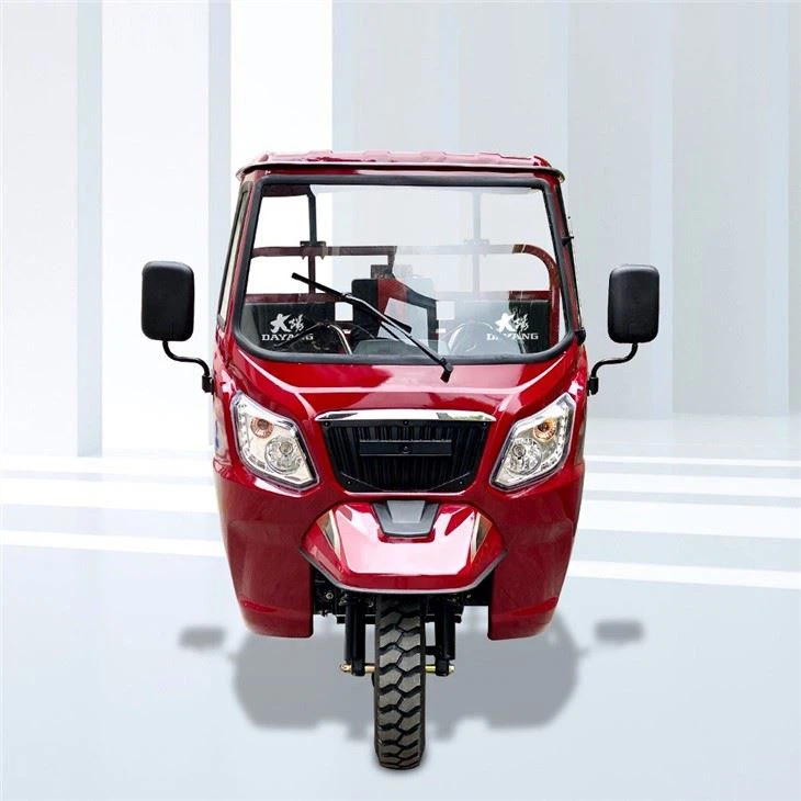 Tipper Carguero Motor Triciclo
