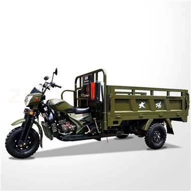 200cc Motorisé Carguero Trimoto