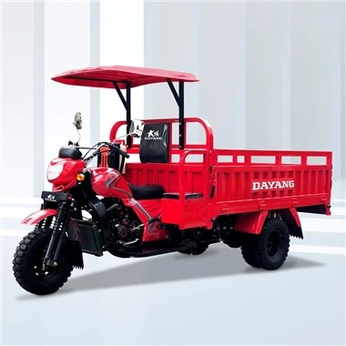 Triciclo de motor de 3 ruedas