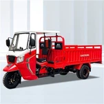 Carga Motorizada Triciclo