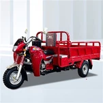 175cc Cargo Trimoto Motorizado
