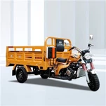 Triciclo de carga de motor