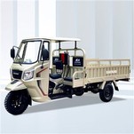 Triciclo Carga Motocar