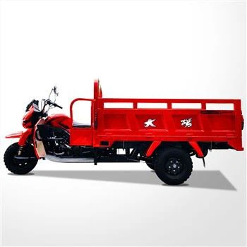 Tricar Motorizado De Carga