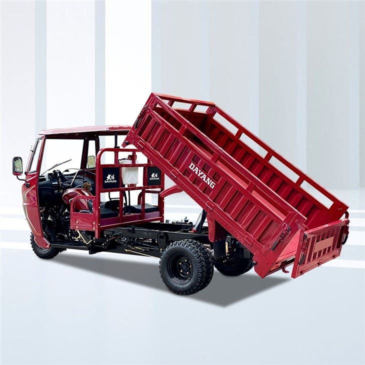 Tipper Carguero Motor Triciclo