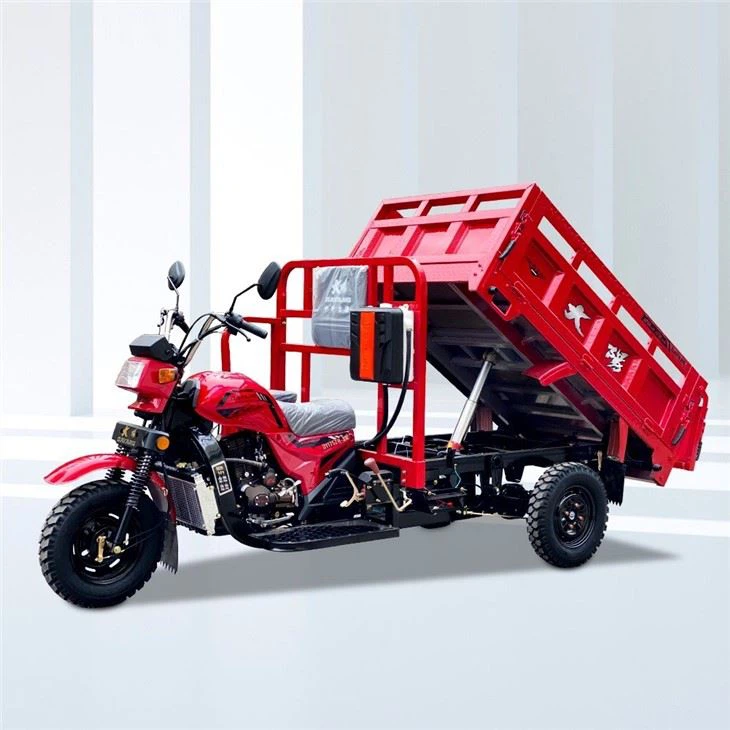 Granja de triciclo con motor de tres ruedas de 125 cc