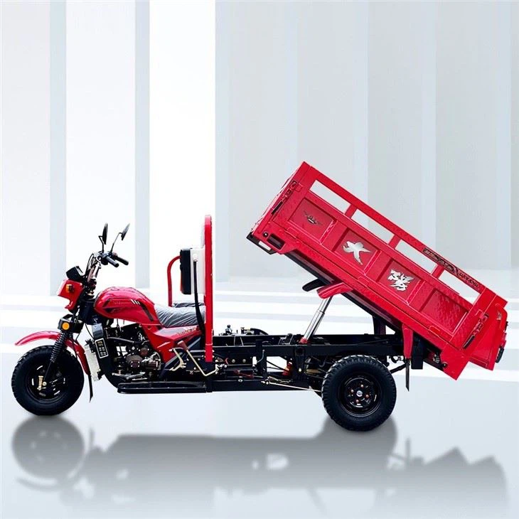 125cc Three Wheel Motor Trike Farm