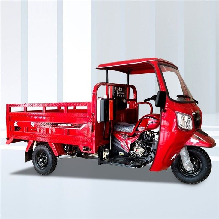320cc Three Wheels Carga Triciclo
