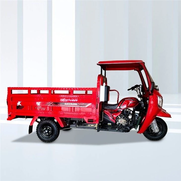 320cc Three Wheels Carga Triciclo